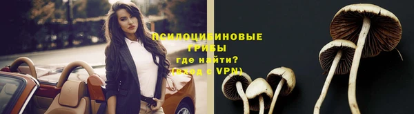эйфоретик Медногорск