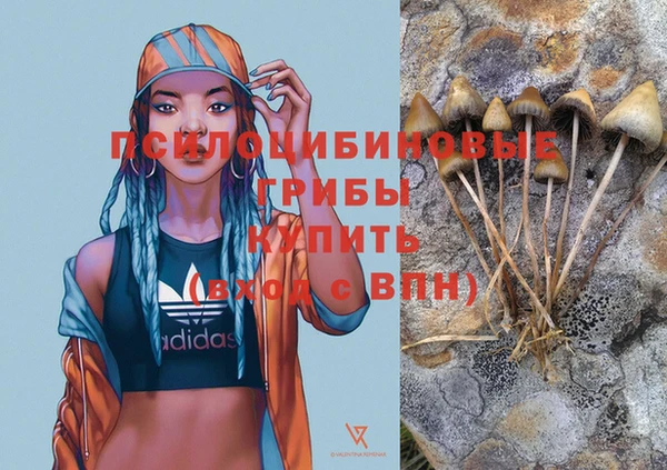 трава Мегион